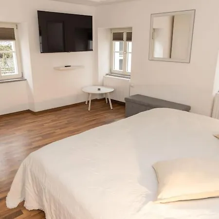 Altstadt 2 شقة باساو